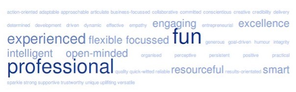 word cloud: fun, experienced, flexible, focussed, professional